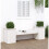 Berkfield Planter Bench White 184.5x39.5x56.5 cm Solid Wood Pine 1