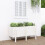 Berkfield Garden Raised Bed White 121x50x57 cm Solid Wood Pine 1