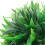 Berkfield Artificial Boxwood Balls 4 pcs 15 cm 3