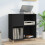 Berkfield Record Cabinet Black 84.5x38x89 cm Engineered Wood 1