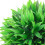 Berkfield Artificial Boxwood Balls 2 pcs 30 cm 3