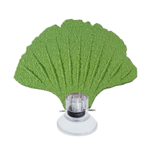 Bird Perch Stands for Cage Parrots Perch-Green Suction type