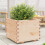 Berkfield Garden Planter 60x60x49.5 cm Solid Wood Pine 1