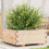 Berkfield Garden Planter 60x60x26.5 cm Solid Wood Pine 1
