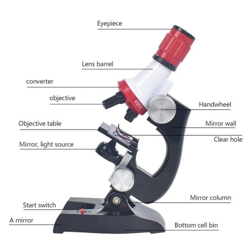 Student Digital Microscope 1200X with ReadytoView Color Slides Kit for Fast Classroom Setup 1