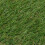 Berkfield Artificial Grass 1x10 m/20 mm Green 2