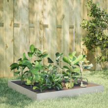 Berkfield Garden Raised Bed 100x100x18.5 cm Stainless Steel