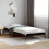 Berkfield Bed Frame without Mattress Black 100x200 cm 1