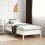 Berkfield Bed Frame without Mattress White 90x190 cm Single Solid Wood Pine 1