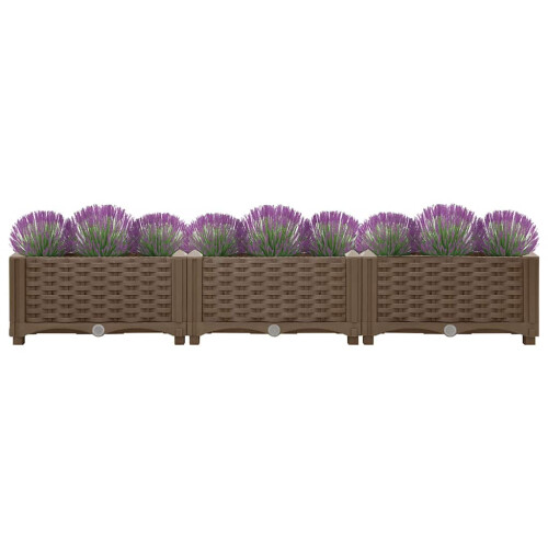Berkfield Raised Bed 120x40x23 cm Polypropylene 2