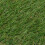 Berkfield Artificial Grass 1x8 m/20 mm Green 3