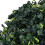 Berkfield Artificial Boxwood Balls 2 pcs 45 cm 3