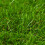 Berkfield Artificial Grass 1x2 m/30 mm Green 3