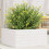 Berkfield Garden Planter White 50x50x23 cm Solid Wood Pine 1