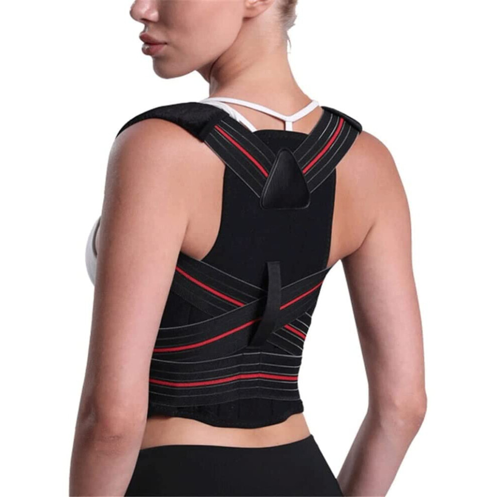 Posture Corrector and Back Support Brace Adjustable Spine Support Belt for Men and Women XXLarge