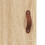Berkfield Wall Mounted Cabinets 2 pcs Sonoma Oak Engineered Wood 9