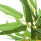 Berkfield Artificial Bamboo Tree 552 Leaves 120 cm Green 2