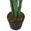 Berkfield Artificial Palm Tree 18 Leaves 80 cm Green 4
