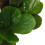 Berkfield Artificial Fiddle Leaf Fig Tree 96 Leaves 80 cm Green 3