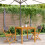 Berkfield Bistro Chairs 2 pcs Anthracite Solid Wood Acacia and Fabric 3