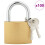 Berkfield U Lock with Keys 100 pcs Brass Iron 2