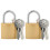 Berkfield U Lock with Keys 2 pcs Brass Iron 2