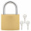 Berkfield U Lock with Keys 2 pcs Brass Iron 4