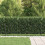 Berkfield Spike Fence Asten Black 3