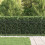Berkfield Spike Fence BAARLO Black 3