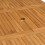 Berkfield Extending Garden Table (110-160)x80x75cm Solid Teak Wood 8