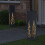 Berkfield Solar LED Pathway Light 2 pcs Anthracite Cold Rolled Steel 3
