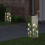 Berkfield Solar LED Pathway Light 2 pcs Silver Stainless Steel 3