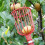 Markdown! Poaug Trim Removal Tool Salg Med Cushion Basket Fruit 4