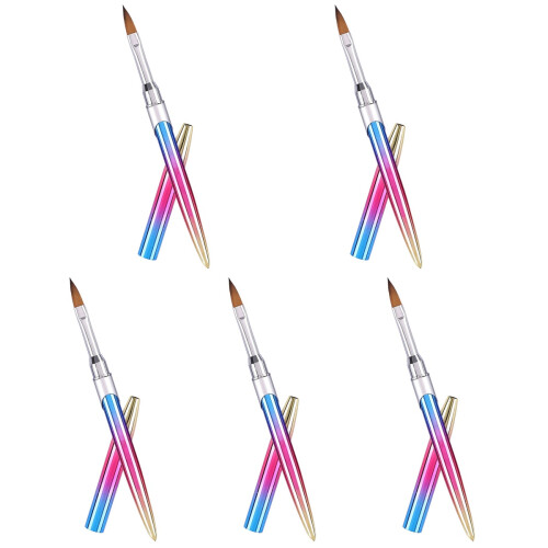 5Pièces Pinceaux Nail Art Multicolores Maniure Pour Usage Pro
