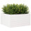 Berkfield Garden Planter White 90x90x46 cm Solid Wood Pine 4