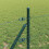Berkfield Fence Post Green 4