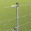 Berkfield Fence Post Galvanized 25 x 1.6 m Steel 4