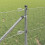 Berkfield Fence Post Silver 4