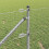 Berkfield Fence Post Silver 5