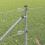 Berkfield Fence Post Silver 5