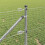 Berkfield Fence Post Silver 5