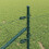 Berkfield Fence Post Green 4
