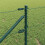 Berkfield Fence Post Green 4