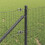 Berkfield Fence Post Grey 4