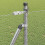 Berkfield Fence Post Silver 5