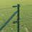 Berkfield Fence Post Green 4