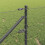 Berkfield Fence Post Grey 3