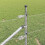 Berkfield Fence Post Silver 4