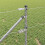 Berkfield Fence Post Silver 4
