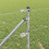Berkfield Fence Post Silver 5